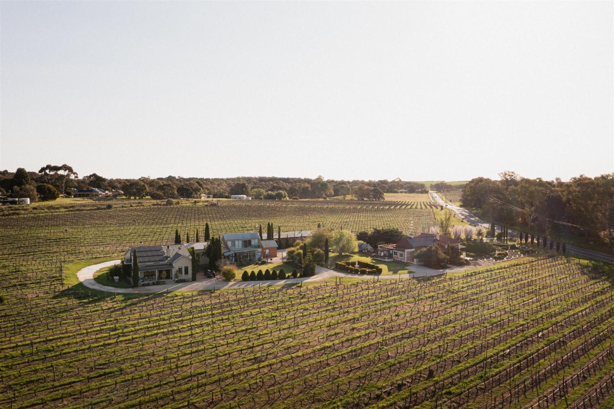 Barossa Shiraz Estate Βίλα Lyndoch Εξωτερικό φωτογραφία