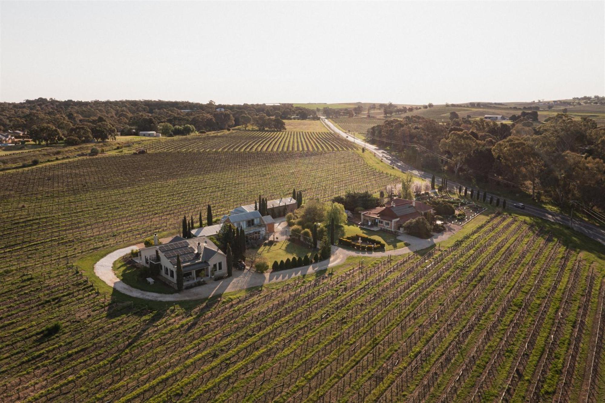 Barossa Shiraz Estate Βίλα Lyndoch Εξωτερικό φωτογραφία