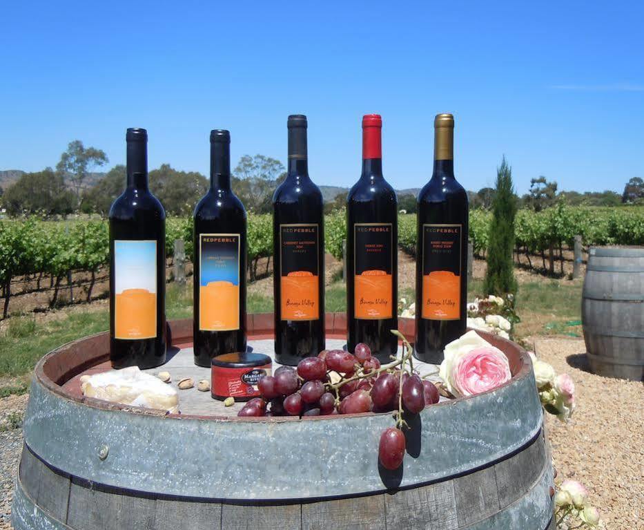Barossa Shiraz Estate Βίλα Lyndoch Εξωτερικό φωτογραφία